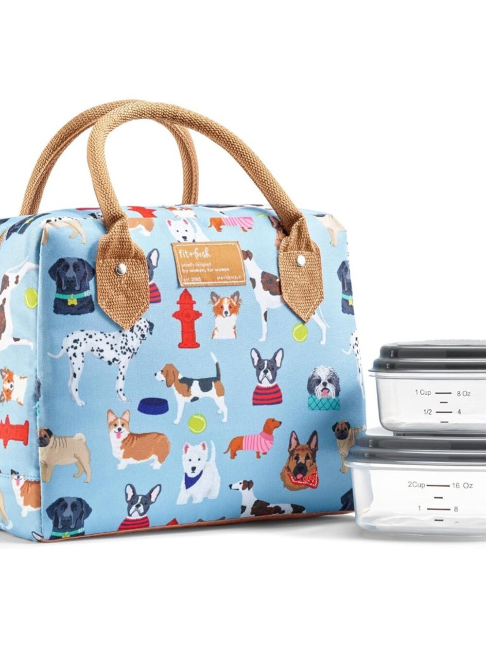 Insulated Lunch Bag for Women - Large Leakproof & Stain-Resistant Box With Conta